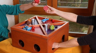 Trapenum – Image 2