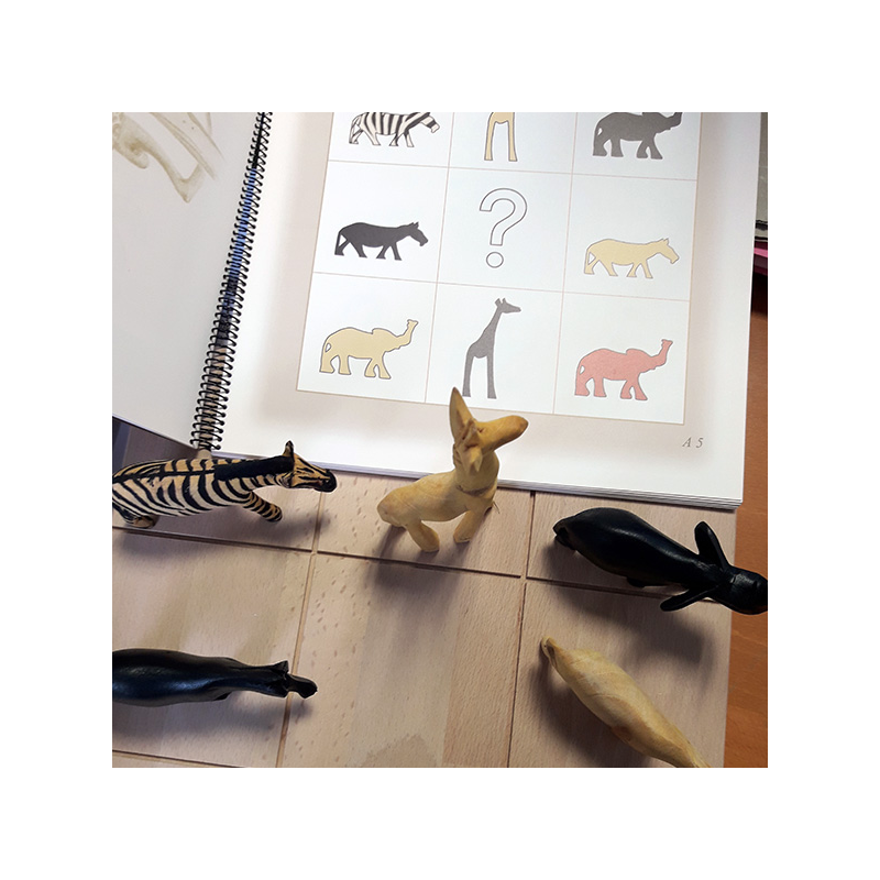 JAMBO KENYA (jeu de logique et déduction) – Image 4