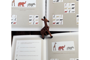 JAMBO KENYA (jeu de logique et déduction)